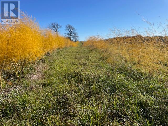 239 Concession 11w, Trent Hills, Ontario  K0L 1Y0 - Photo 22 - X12861196