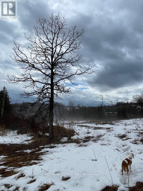 239 Concession 11w, Trent Hills, Ontario  K0L 1Y0 - Photo 33 - X12861196