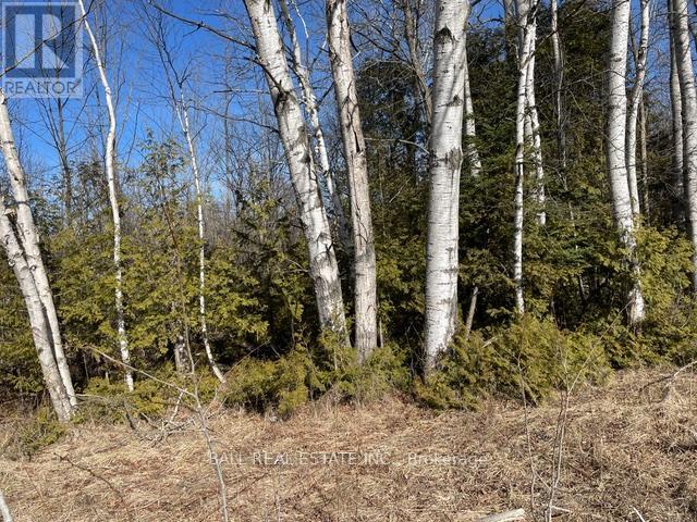 239 Concession 11w, Trent Hills, Ontario  K0L 1Y0 - Photo 35 - X12861196