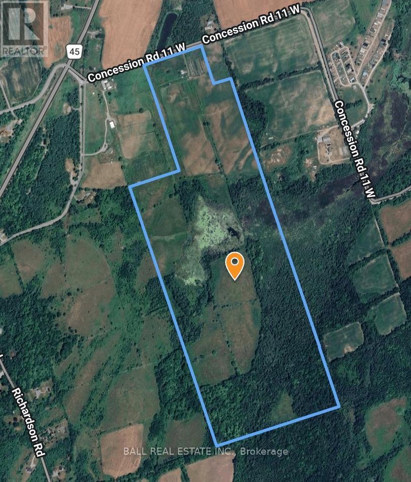 239 Concession 11w, Trent Hills, Ontario  K0L 1Y0 - Photo 39 - X12861196