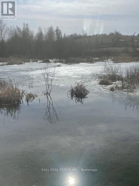 239 Concession 11w, Trent Hills, Ontario  K0L 1Y0 - Photo 8 - X12861196