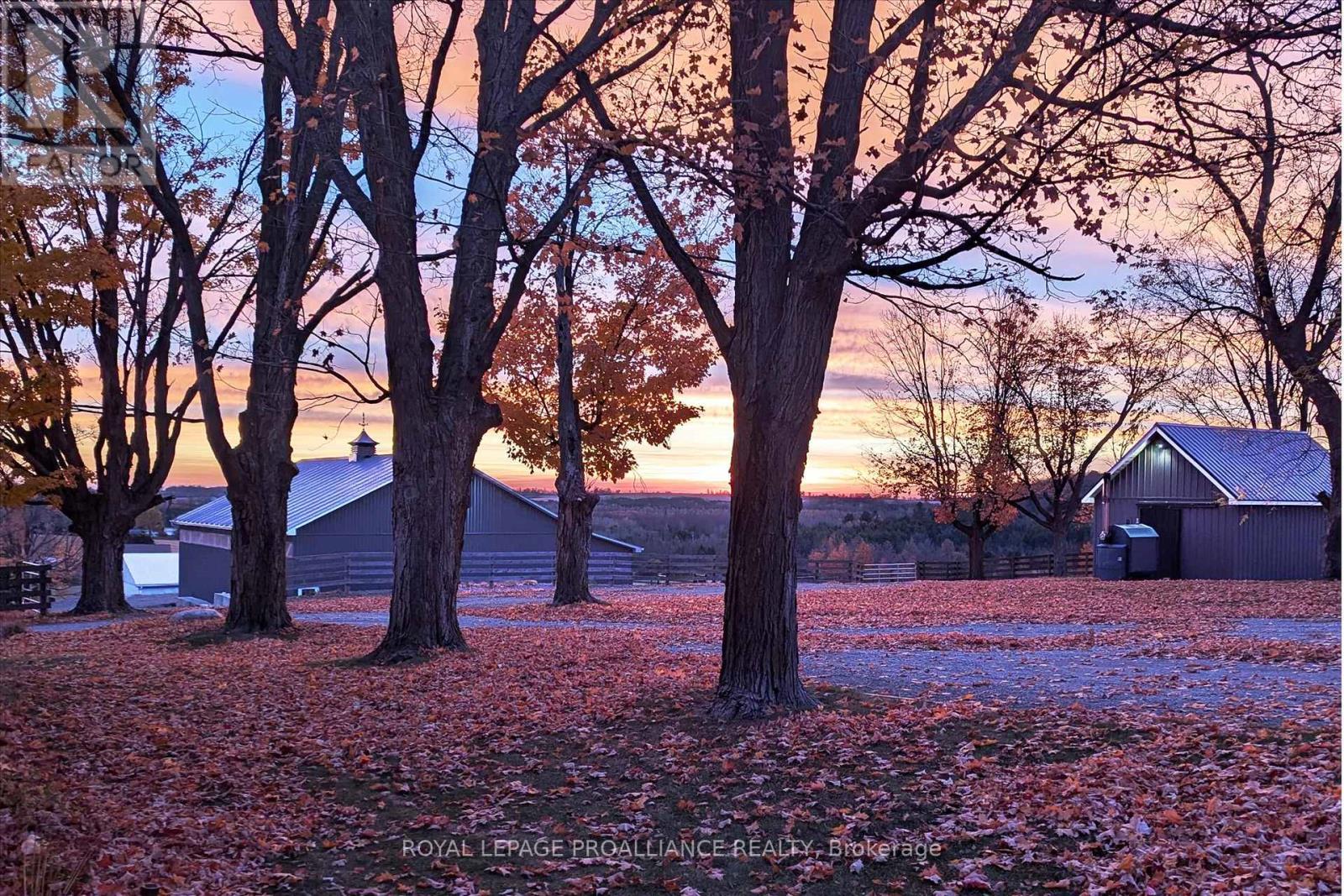 831 Bland Line, Cavan Monaghan (Cavan Twp), Ontario  L0A 1C0 - Photo 12 - X12861174