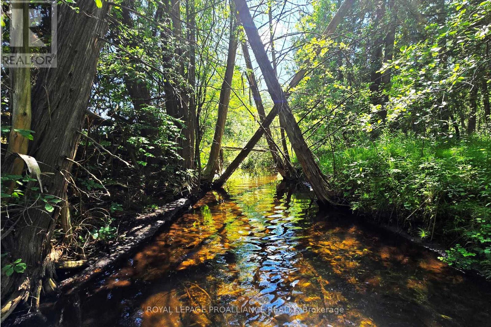 831 Bland Line, Cavan Monaghan (Cavan Twp), Ontario  L0A 1C0 - Photo 8 - X12861174