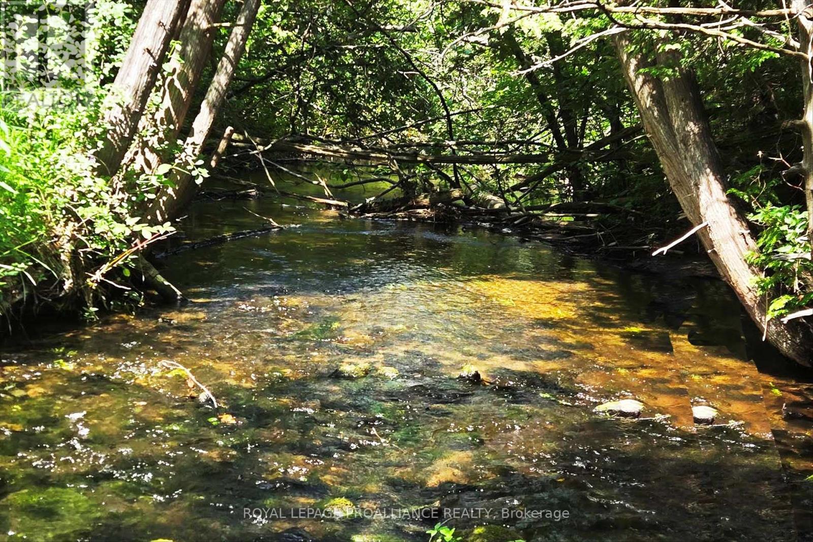 831 Bland Line, Cavan Monaghan (Cavan Twp), Ontario  L0A 1C0 - Photo 9 - X12861174