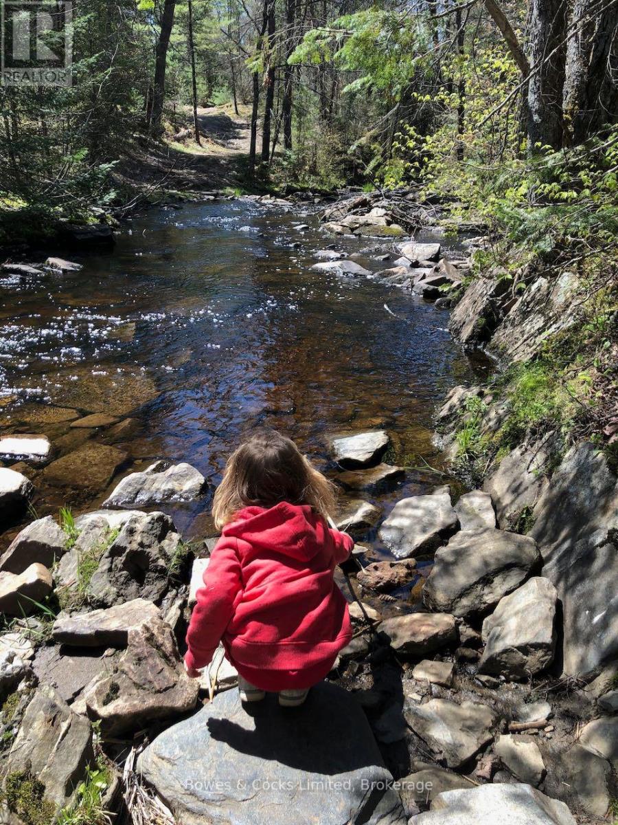 2449 The Ridge Road, Marmora And Lake (Lake Ward), Ontario  K0L 1P0 - Photo 44 - X12861826