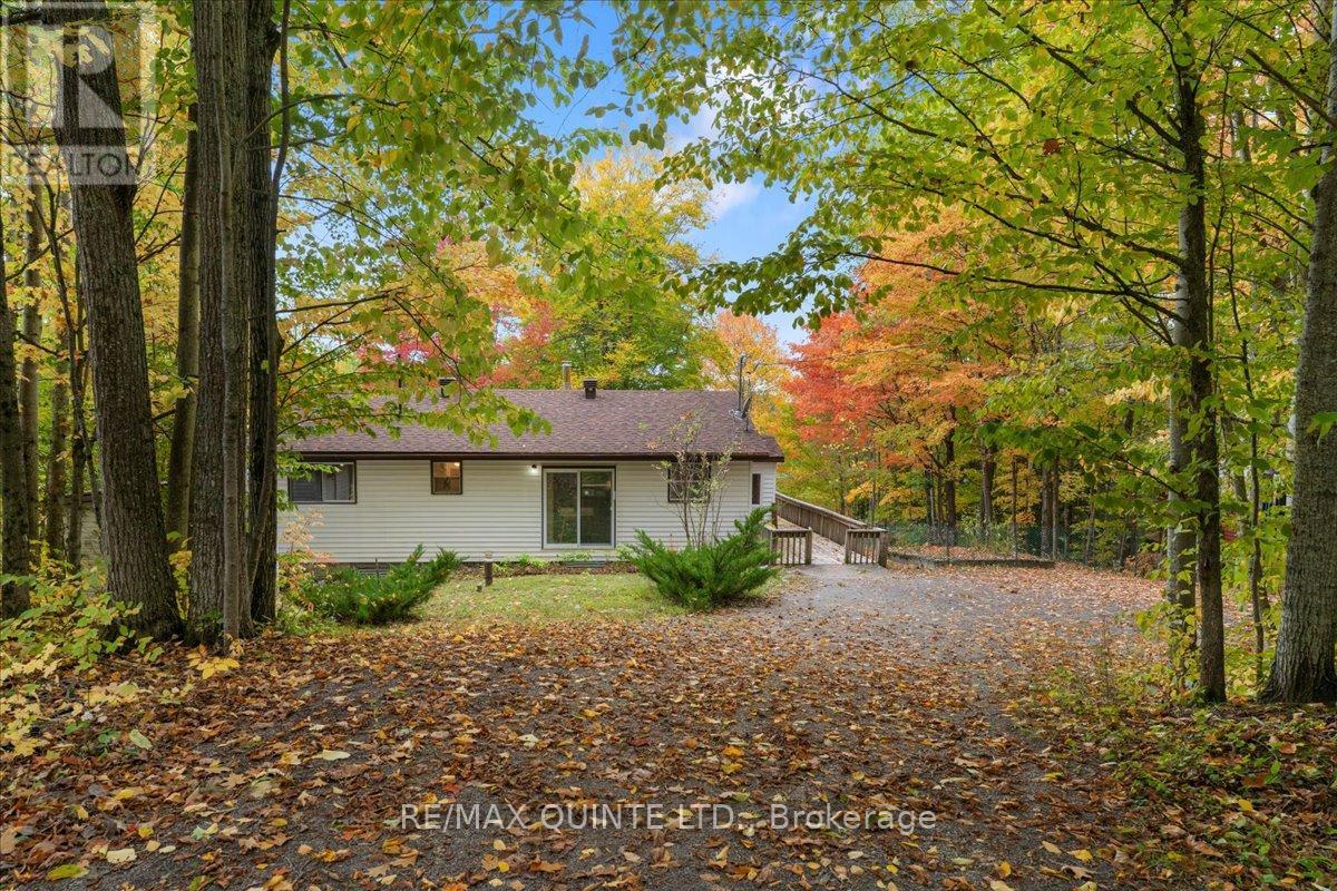 538 Skene Road, Marmora And Lake (Lake Ward), Ontario  K0L 1W0 - Photo 2 - X12862224