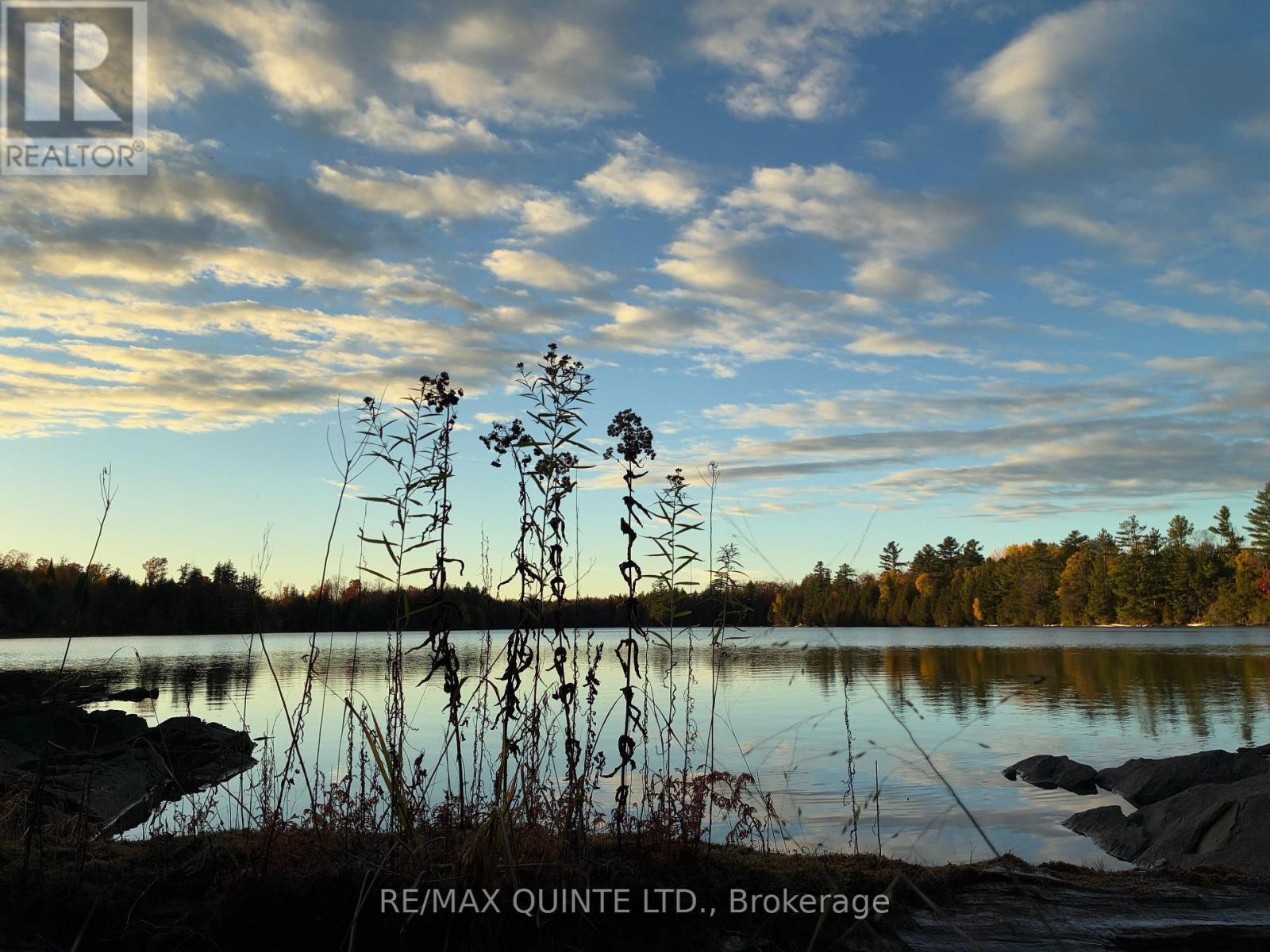 538 Skene Road, Marmora And Lake (Lake Ward), Ontario  K0L 1W0 - Photo 46 - X12862224