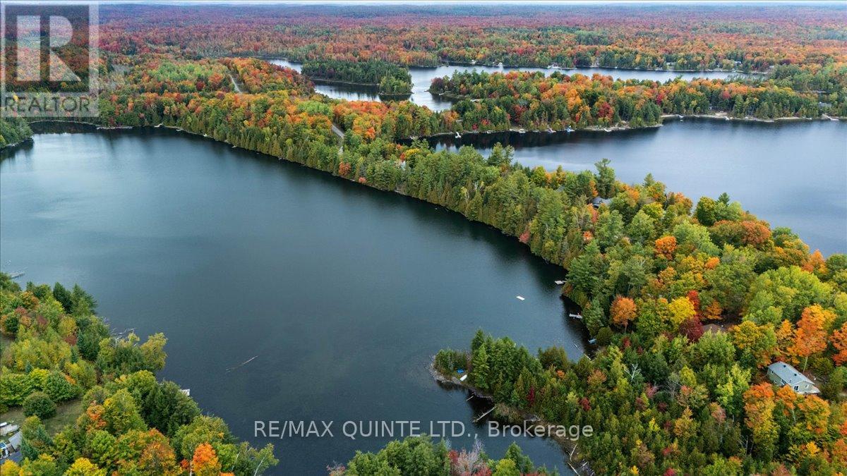 538 Skene Road, Marmora And Lake (Lake Ward), Ontario  K0L 1W0 - Photo 5 - X12862224