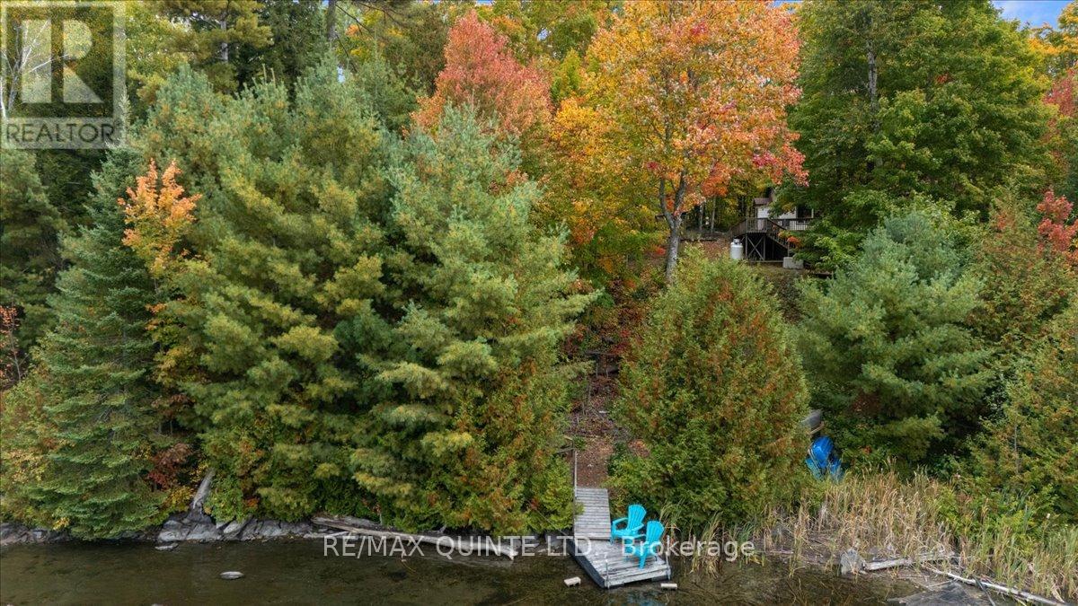 538 Skene Road, Marmora And Lake (Lake Ward), Ontario  K0L 1W0 - Photo 7 - X12862224