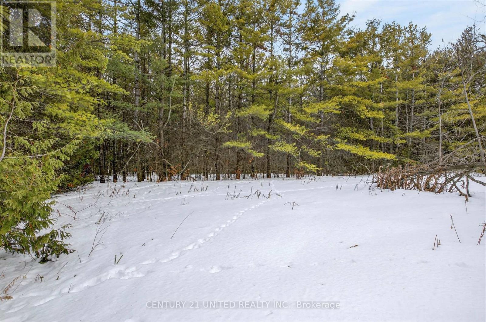 268 Eastwood Road, Selwyn, Ontario  K9J 6X3 - Photo 25 - X12863380