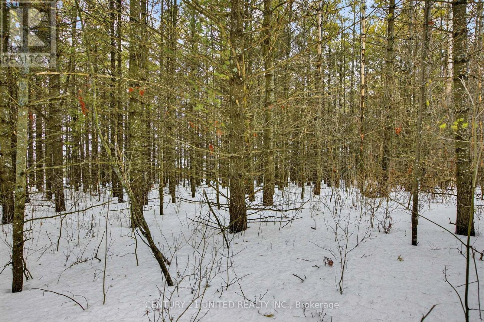 268 Eastwood Road, Selwyn, Ontario  K9J 6X3 - Photo 26 - X12863380