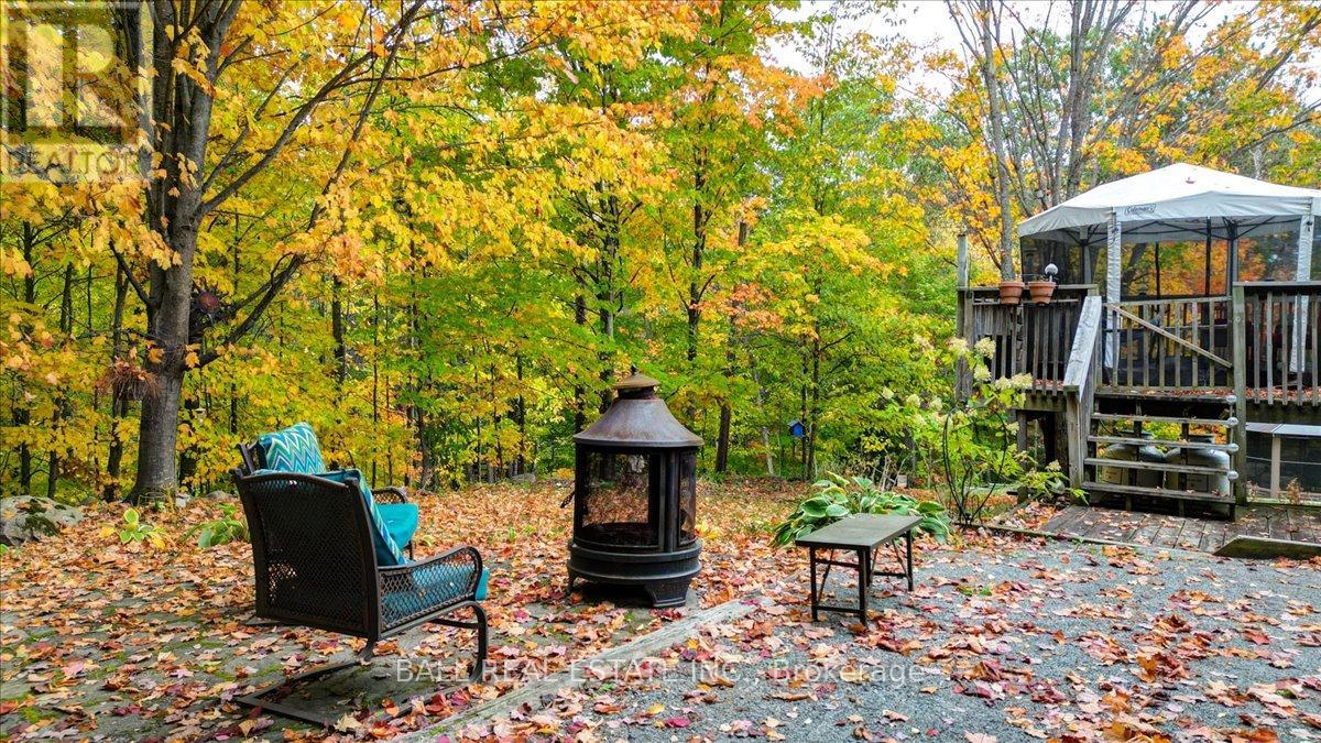 5 Oak Street, Bancroft (Bancroft Ward), Ontario  K0L 1C0 - Photo 27 - X12865748