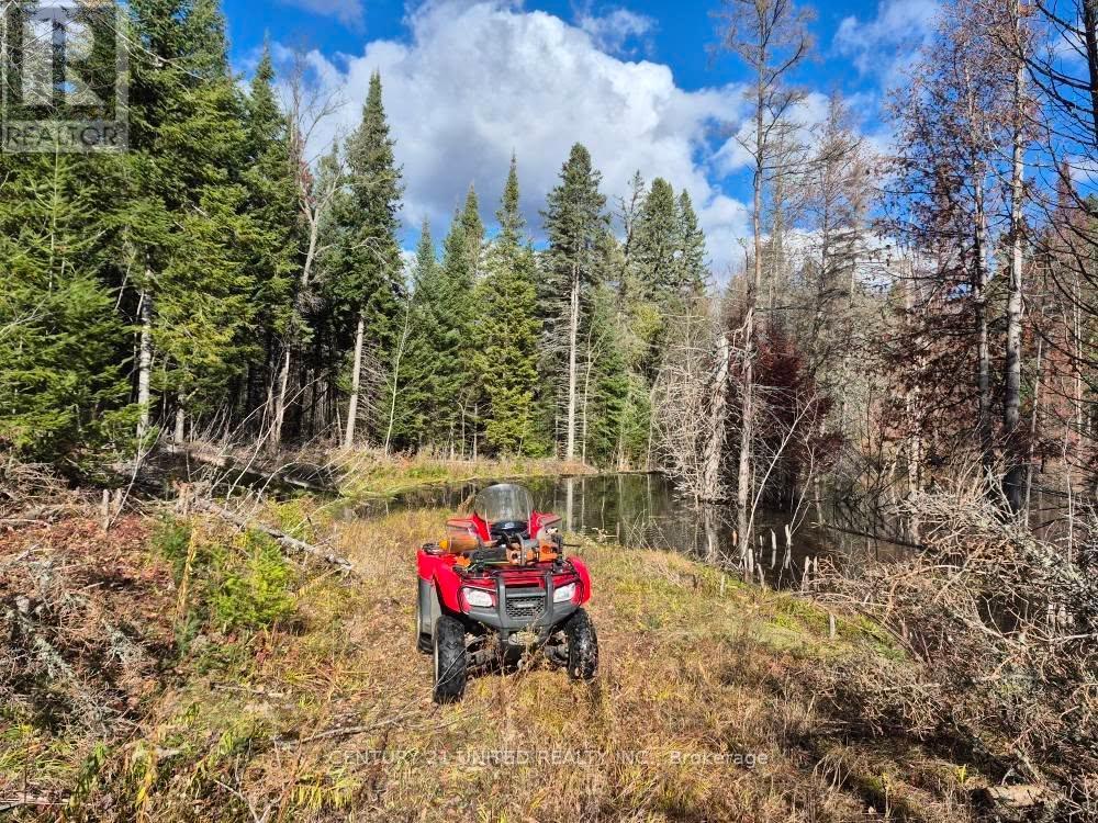 1211 A. Guy Wilson Road, Carlow/mayo (Carlow Ward), Ontario  K0L 1C0 - Photo 4 - X12867304