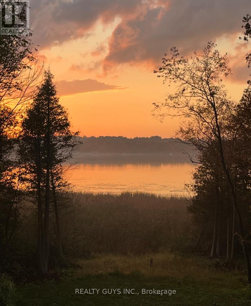 2 Ivy Street, Kawartha Lakes (Emily), Ontario  K0L 2W0 - Photo 33 - X12869498