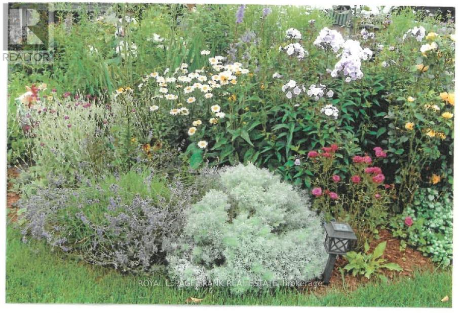 491 Chamberlain Street, Peterborough (Town Ward 3), Ontario  K9J 4L3 - Photo 37 - X12869726