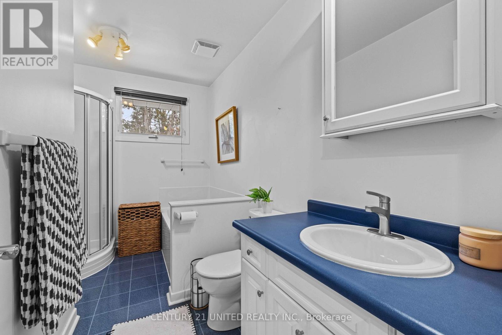 1227 Cartier Boulevard, Peterborough (Northcrest Ward 5), Ontario  K9H 6S2 - Photo 17 - X12873144