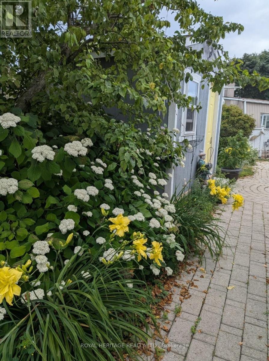 40 Bluffs Road, Clarington (Bowmanville), Ontario  L1B 1A3 - Photo 37 - E12874514