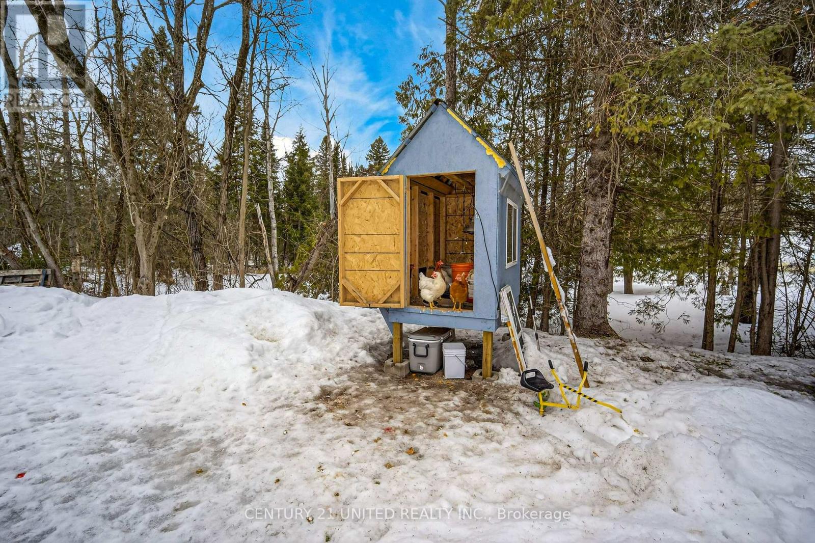 39 Concession Street, Havelock-Belmont-Methuen (Havelock), Ontario  K0L 1Z0 - Photo 30 - X12875184