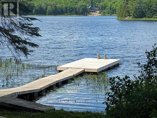 1038 Stonehenge Lane, Highlands East (Cardiff Ward), Ontario  K0L 1M0 - Photo 36 - X12879370