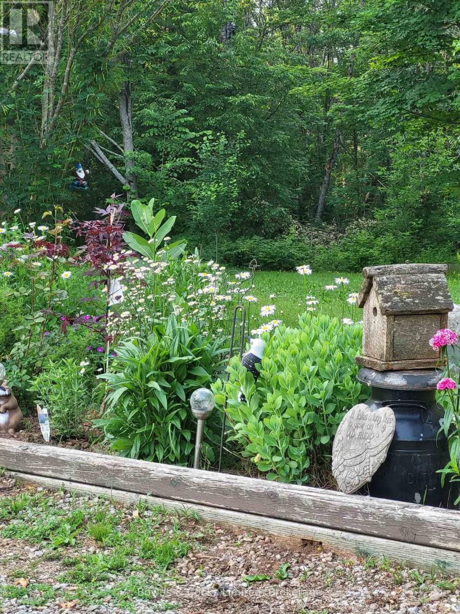 1165 County Road 620, North Kawartha, Ontario  K0L 1A0 - Photo 8 - X12880736