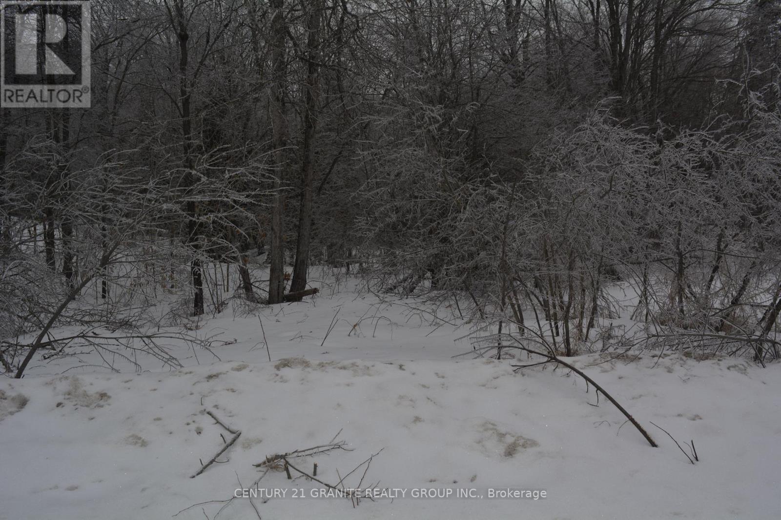 0 Sucie Road, Highlands East (Cardiff Ward), Ontario  K0L 2A0 - Photo 2 - X12881098