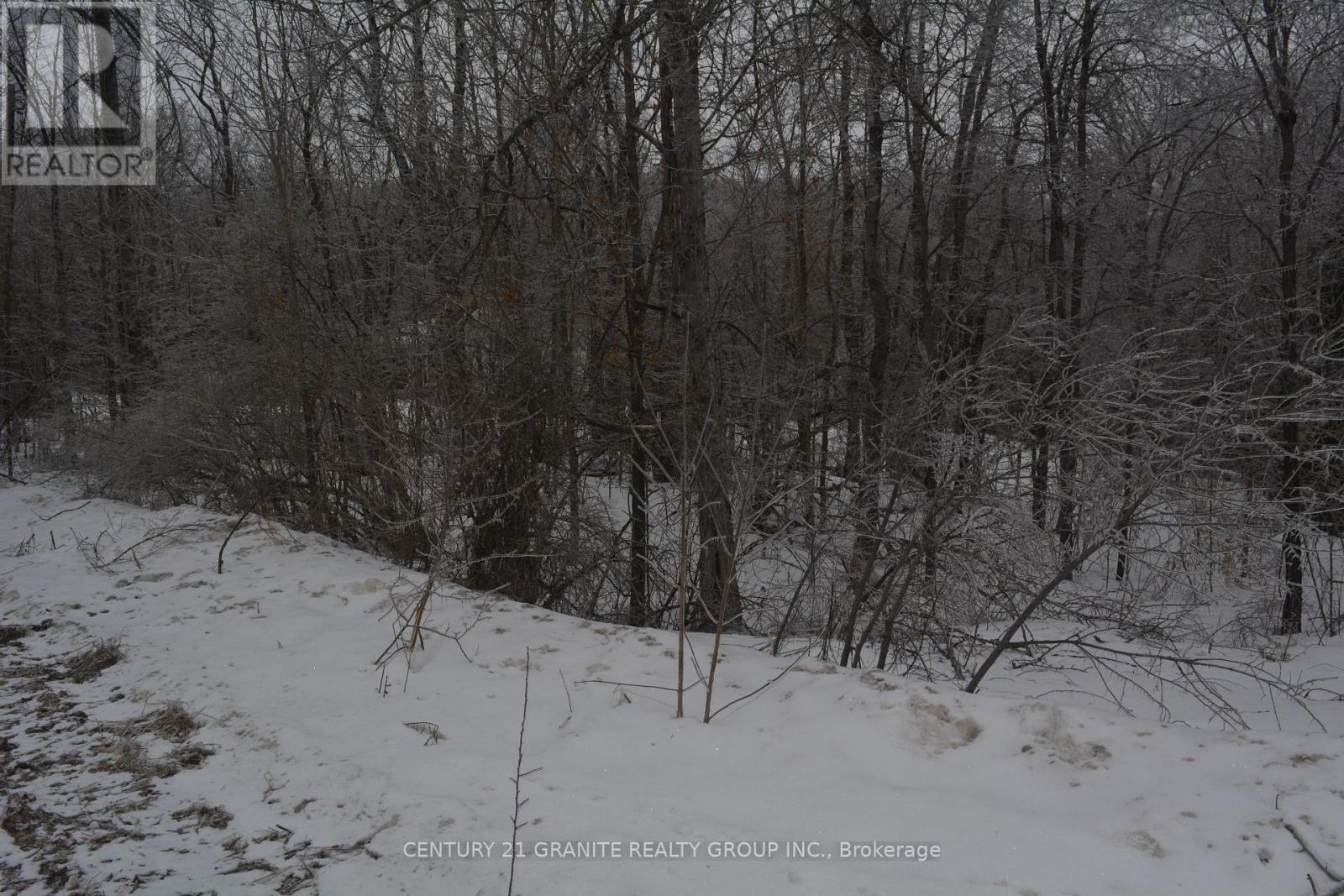 0 Sucie Road, Highlands East (Cardiff Ward), Ontario  K0L 2A0 - Photo 3 - X12881098