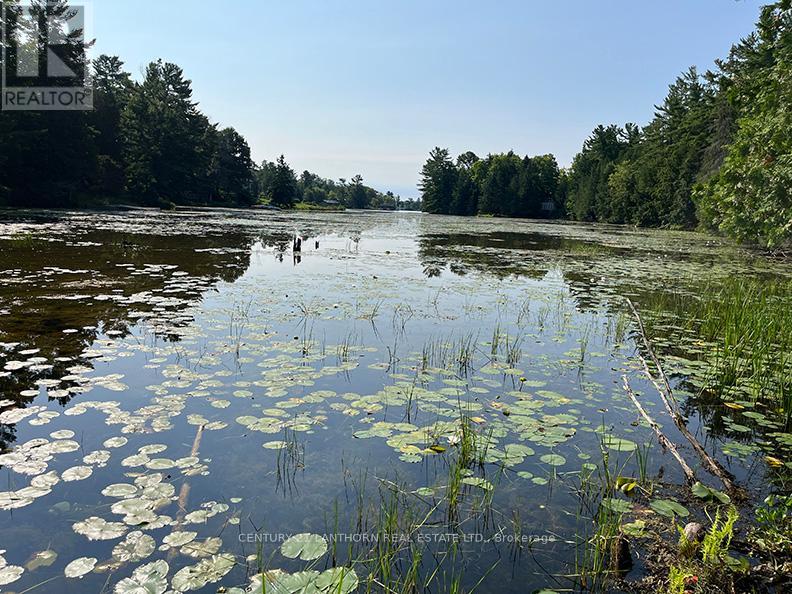 221 Fire Route 5, North Kawartha, Ontario  K0L 3E0 - Photo 11 - X12881306