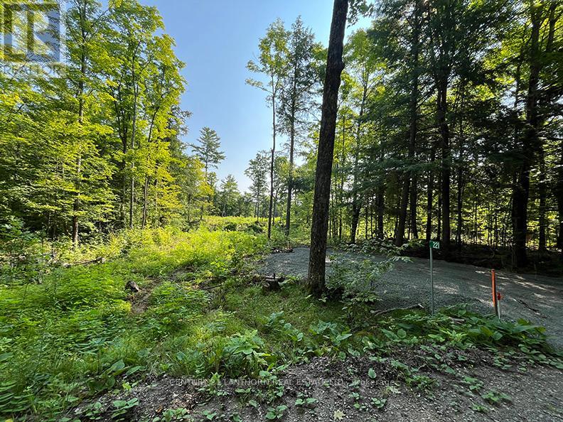 221 Fire Route 5, North Kawartha, Ontario  K0L 3E0 - Photo 14 - X12881306