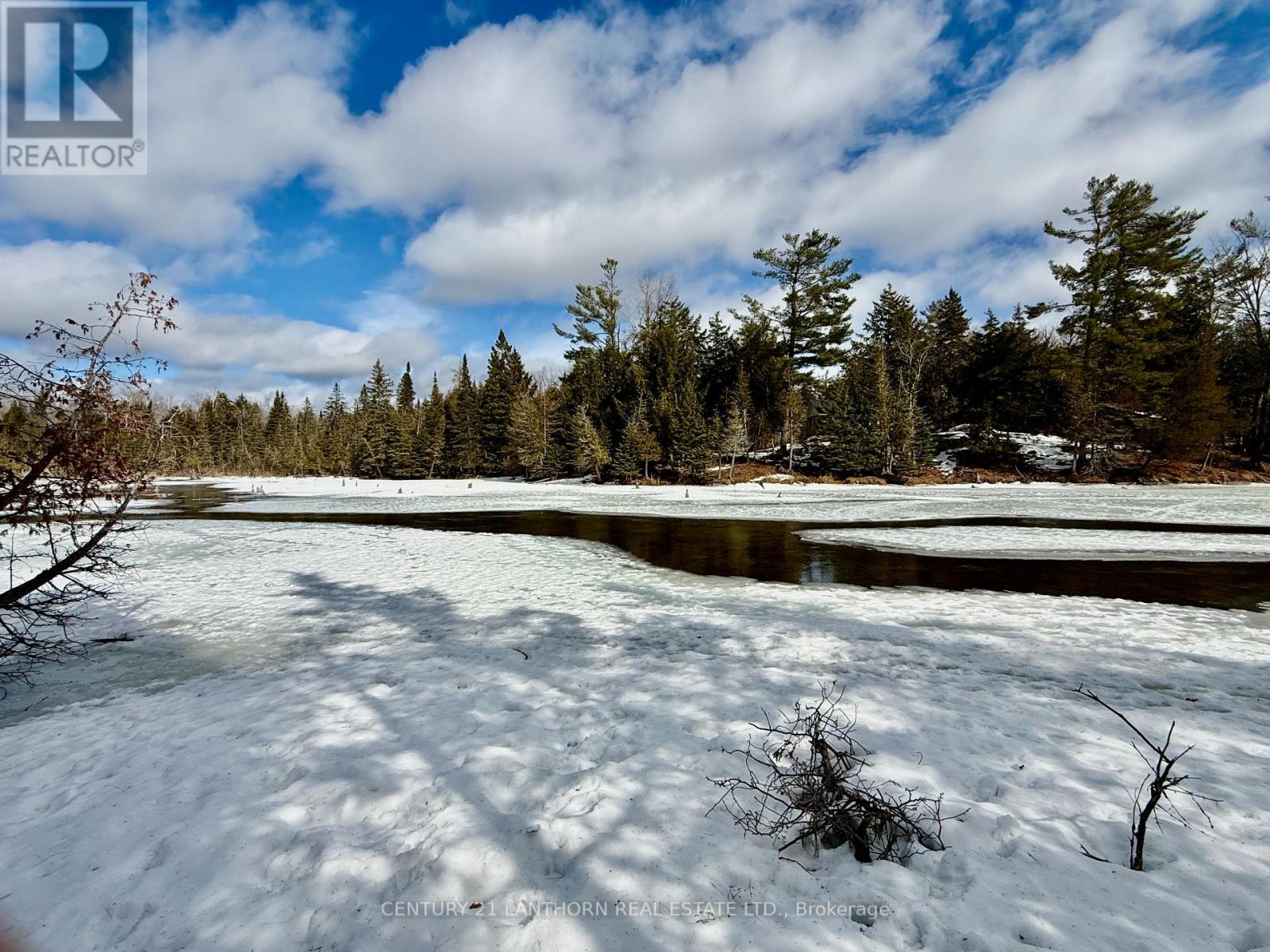 221 Fire Route 5, North Kawartha, Ontario  K0L 3E0 - Photo 17 - X12881306