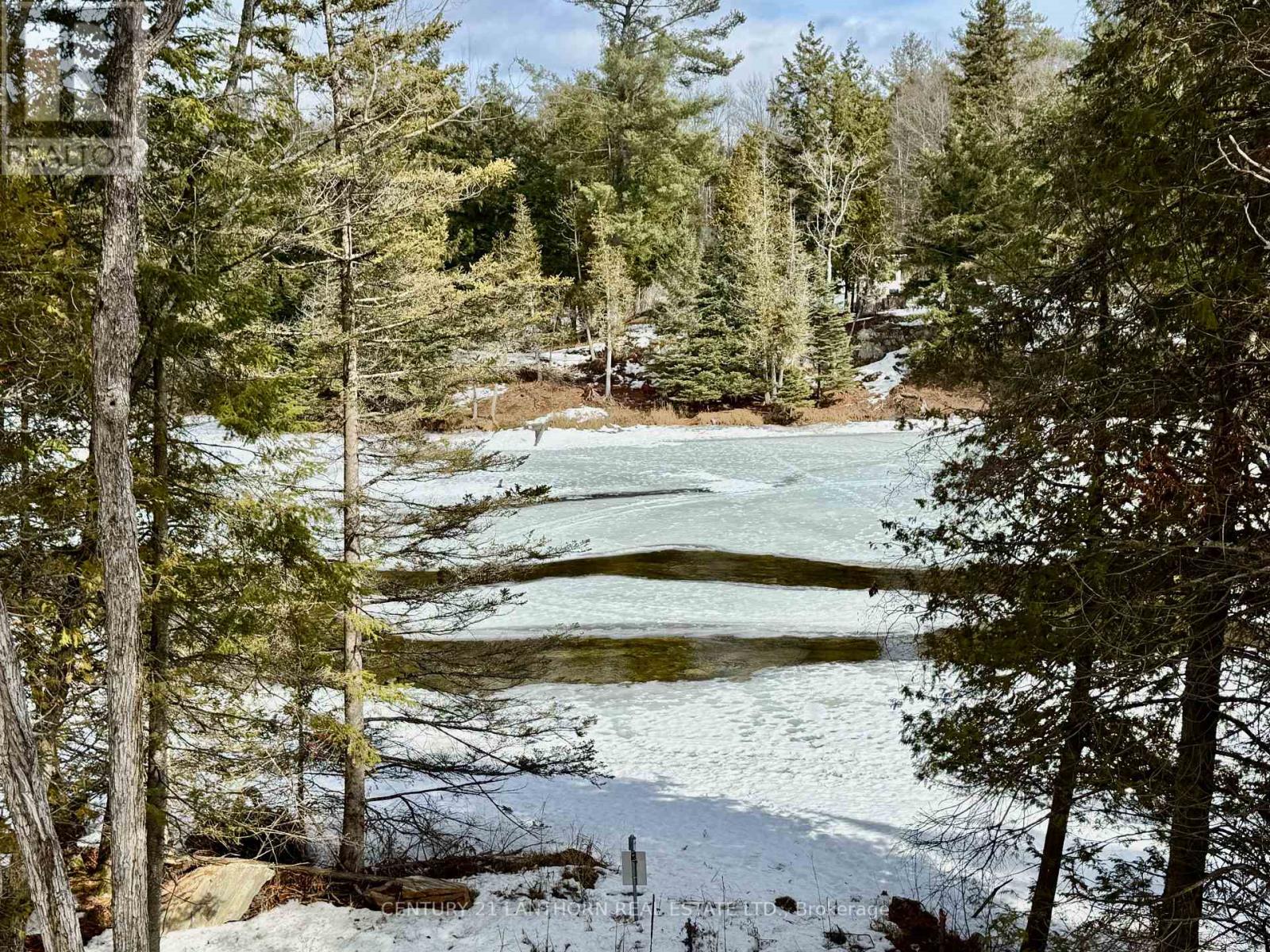 221 Fire Route 5, North Kawartha, Ontario  K0L 3E0 - Photo 19 - X12881306