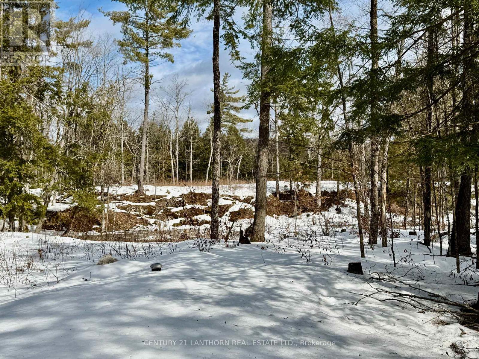 221 Fire Route 5, North Kawartha, Ontario  K0L 3E0 - Photo 20 - X12881306