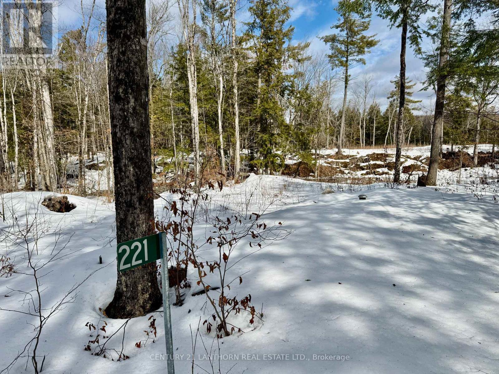 221 Fire Route 5, North Kawartha, Ontario  K0L 3E0 - Photo 21 - X12881306