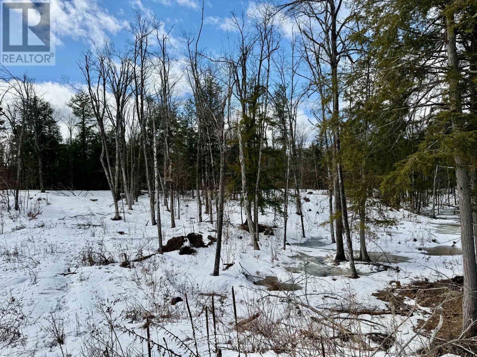 221 Fire Route 5, North Kawartha, Ontario  K0L 3E0 - Photo 22 - X12881306