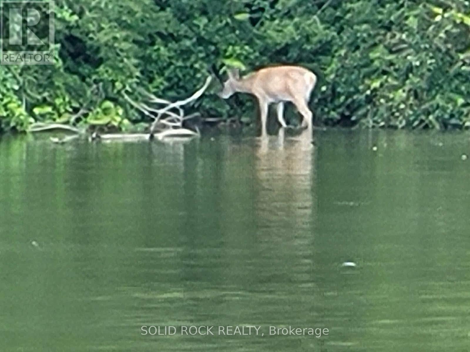 147 Cedar Drive, Trent Hills (Hastings), Ontario  K0L 1Z0 - Photo 39 - X12885598