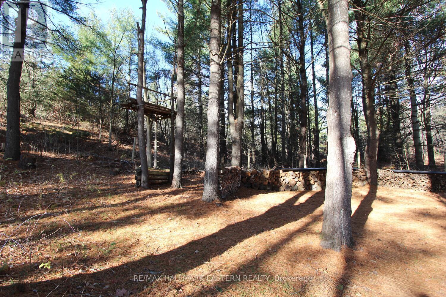 20 Blairton Tent & Trailer Park Road, Havelock-Belmont-Methuen, Ontario  K0L 1Z0 - Photo 37 - X12886042