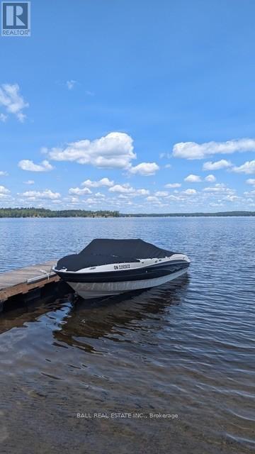 10 Fire Route 133a, Trent Lakes, Ontario  K0L 1J0 - Photo 29 - X12886500