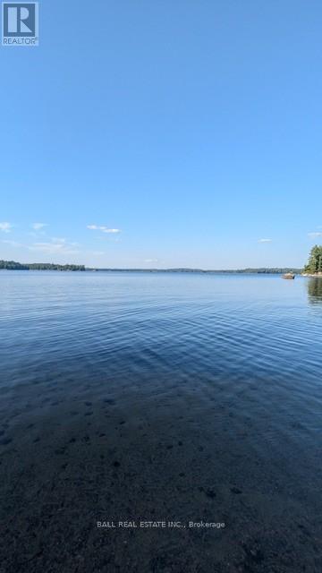 10 Fire Route 133a, Trent Lakes, Ontario  K0L 1J0 - Photo 31 - X12886500