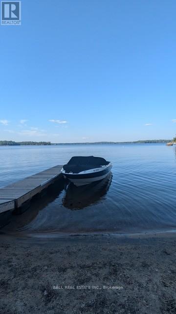 10 Fire Route 133a, Trent Lakes, Ontario  K0L 1J0 - Photo 32 - X12886500