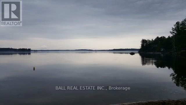 10 Fire Route 133a, Trent Lakes, Ontario  K0L 1J0 - Photo 33 - X12886500