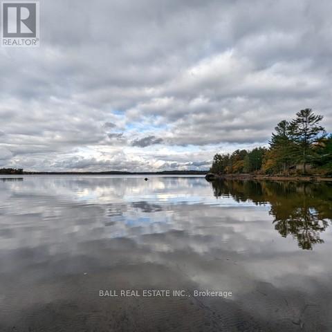 10 Fire Route 133a, Trent Lakes, Ontario  K0L 1J0 - Photo 34 - X12886500