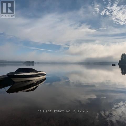 10 Fire Route 133a, Trent Lakes, Ontario  K0L 1J0 - Photo 35 - X12886500
