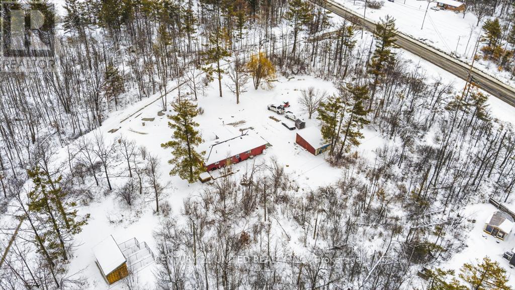 17 Fire Rte 79, Trent Lakes, Ontario  K0L 1J0 - Photo 29 - X12888744