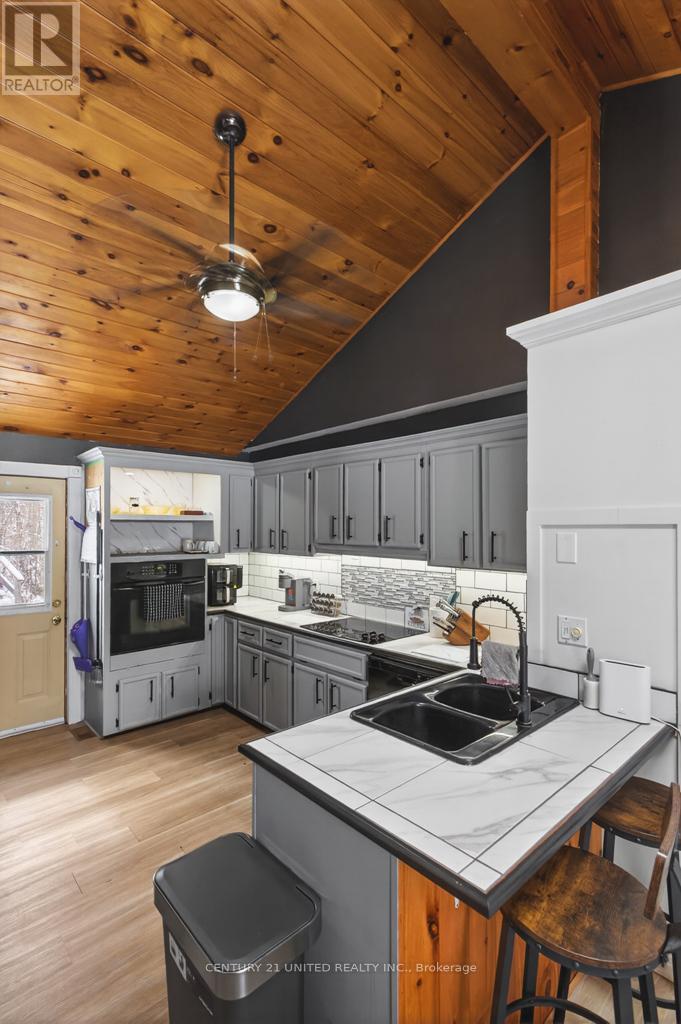 17 Fire Rte 79, Trent Lakes, Ontario  K0L 1J0 - Photo 7 - X12888744