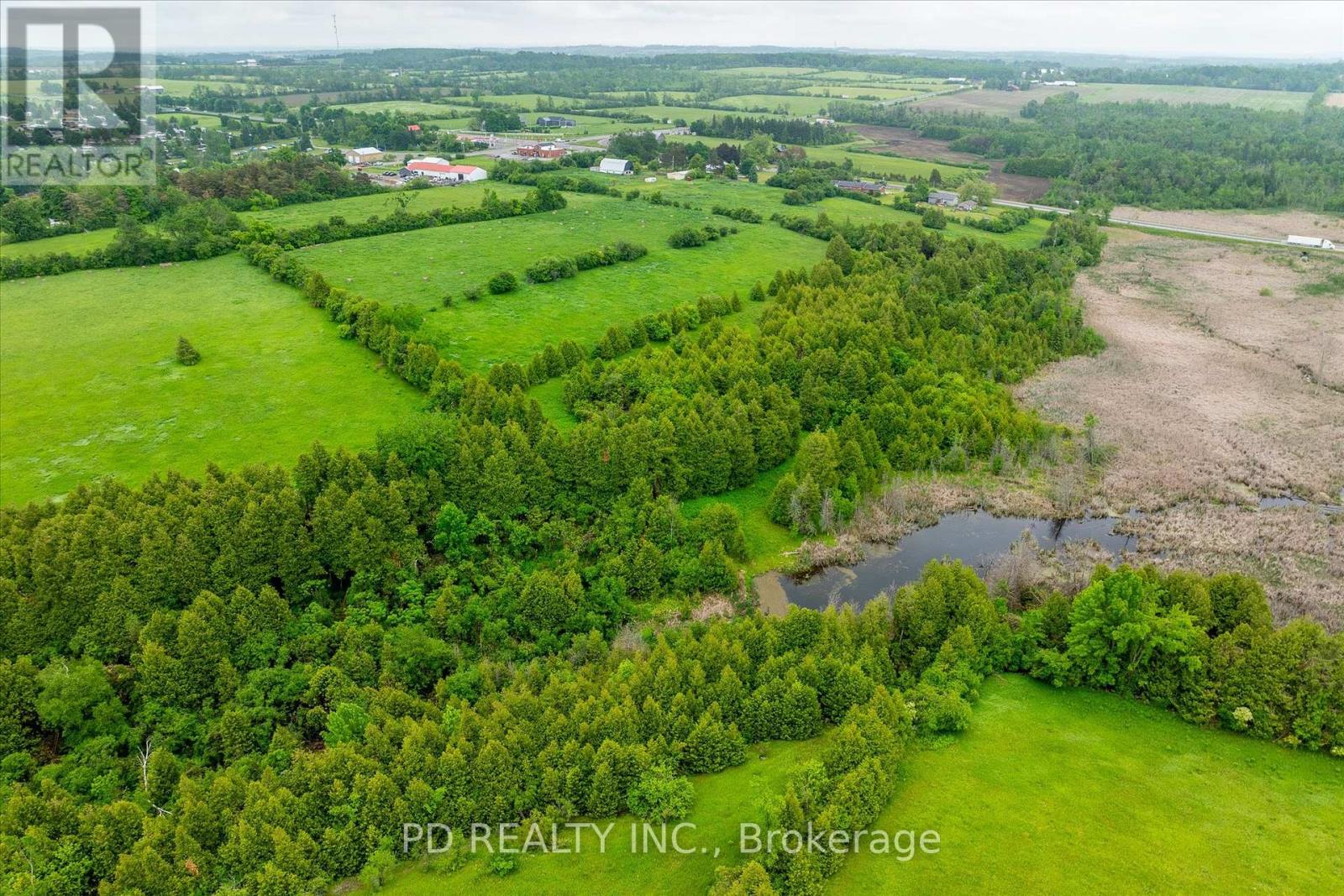 4925 Highway 7, Kawartha Lakes (Emily), Ontario  K0L 2W0 - Photo 29 - X12890068