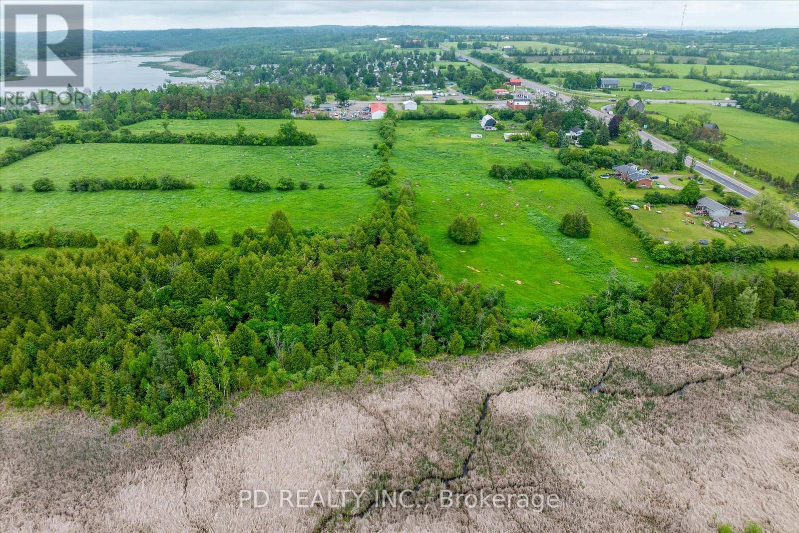 4925 Highway 7, Kawartha Lakes (Emily), Ontario  K0L 2W0 - Photo 31 - X12890068