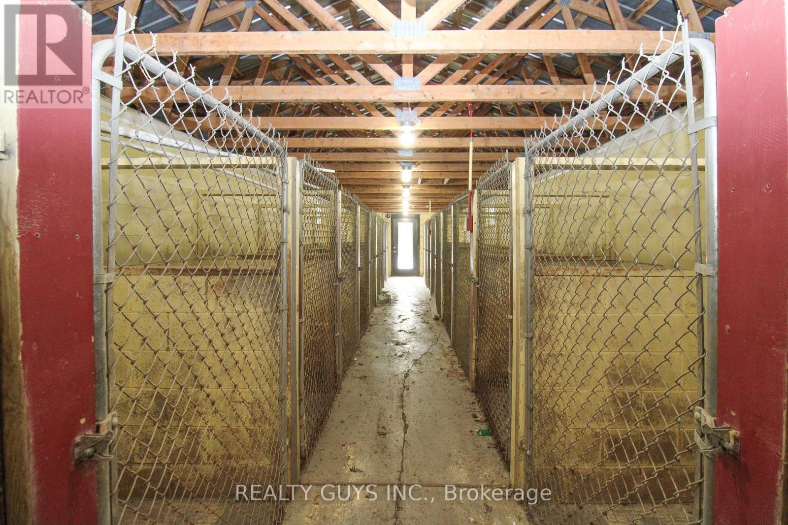 316 Douglas Road, Douro-Dummer, Ontario  K0L 3A0 - Photo 11 - X12890146