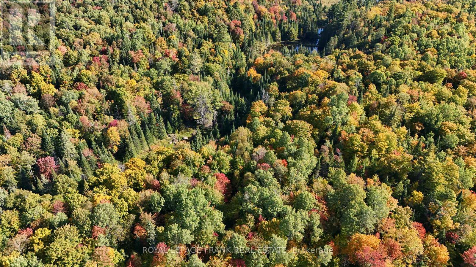 0 Peterson Road, Hastings Highlands (Herschel Ward), Ontario  K0L 2S0 - Photo 21 - X12890250