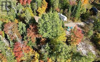0 Peterson Road, Hastings Highlands (Herschel Ward), Ontario  K0L 2S0 - Photo 27 - X12890250
