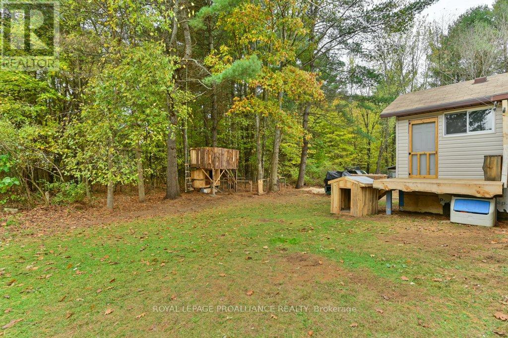 1217 Preston Road, Havelock-Belmont-Methuen (Belmont-Methuen), Ontario  K0L 1Z0 - Photo 34 - X12892370