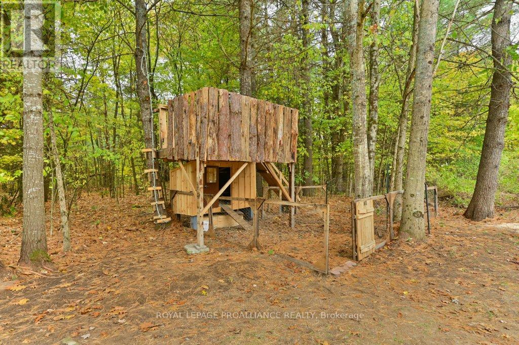 1217 Preston Road, Havelock-Belmont-Methuen (Belmont-Methuen), Ontario  K0L 1Z0 - Photo 35 - X12892370